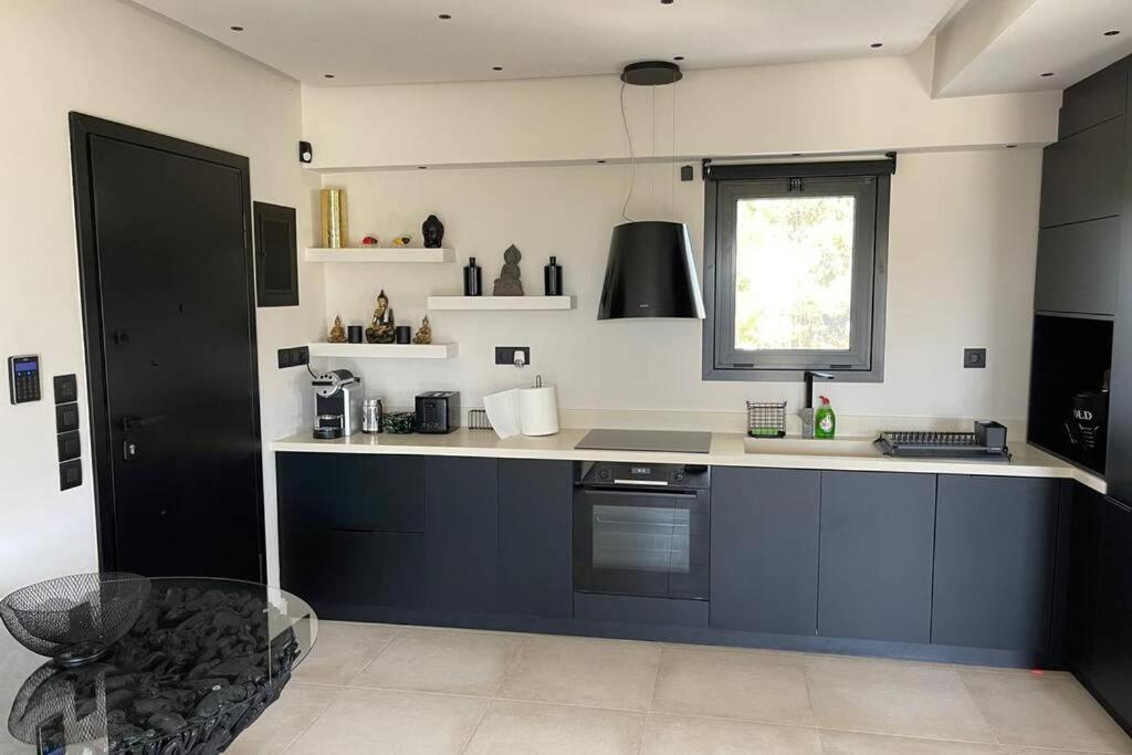 Lagonisi Luxury Appartment By The Sea 1 Kalivia Thorikou エクステリア 写真